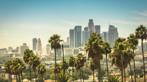 Palm trees in front of the city of Los Angeles during the day.